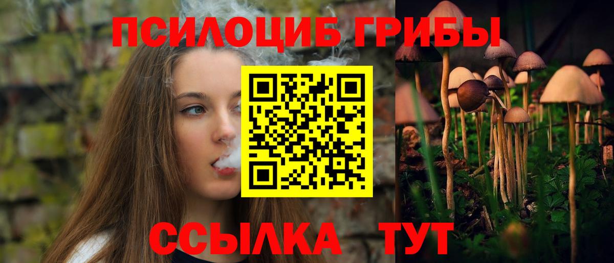 Псилоцибиновые грибы MAGIC MUSHROOMS Обь